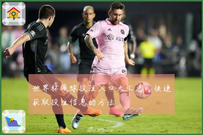 世界杯滚球投注入口大汇总，快速获取投注信息的方法