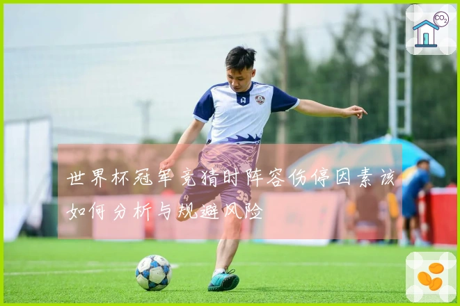 世界杯冠军竞猜时阵容伤停因素该如何分析与规避风险