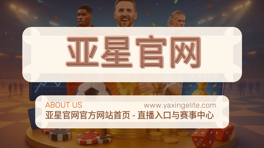 亚星官网服务承接说明